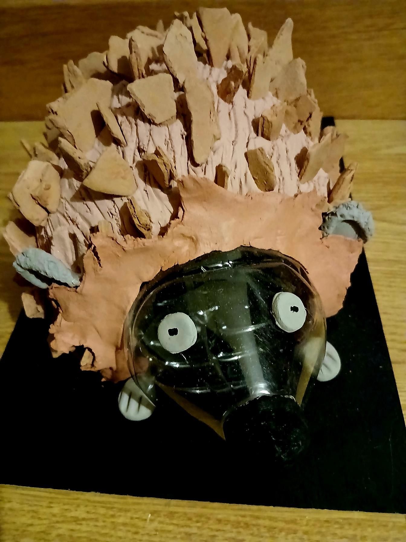 Exposition hérisson